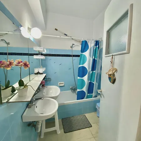 Florida & - Adults Only 2*